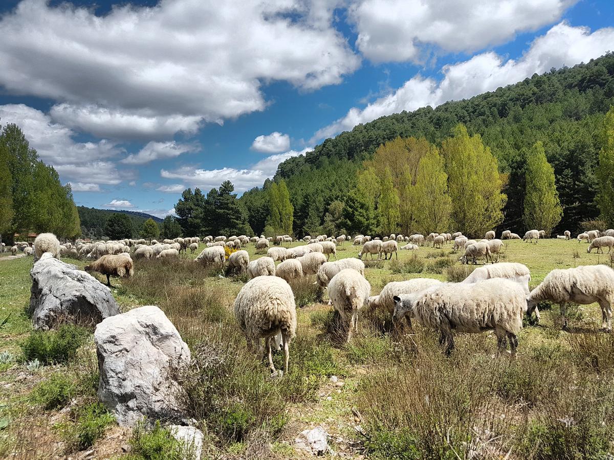 Hotel Enclave Soria Herreros Zewnętrze zdjęcie